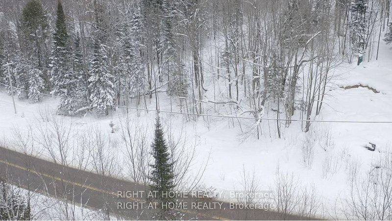 22382 Highway 35 Highway, Lake of Bays, P0A 1E0 | Image 3