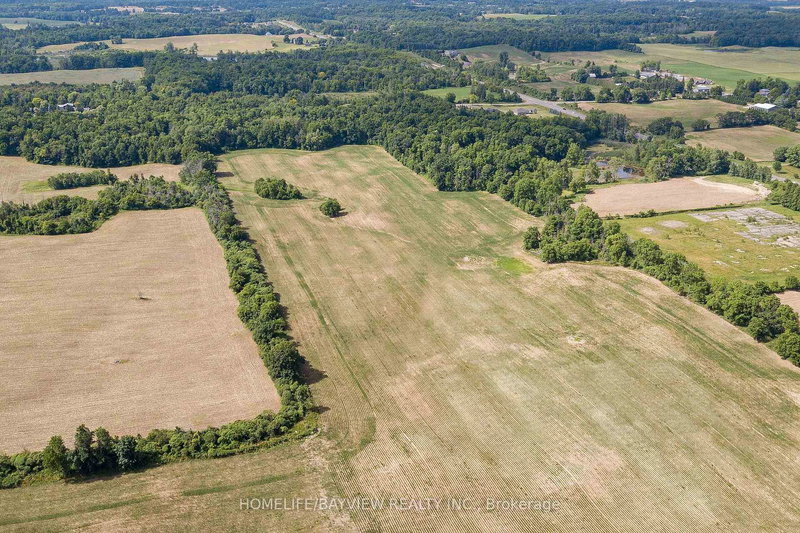 343 Blue Lake Rd, Brant, N0E 1N0 | Image 3