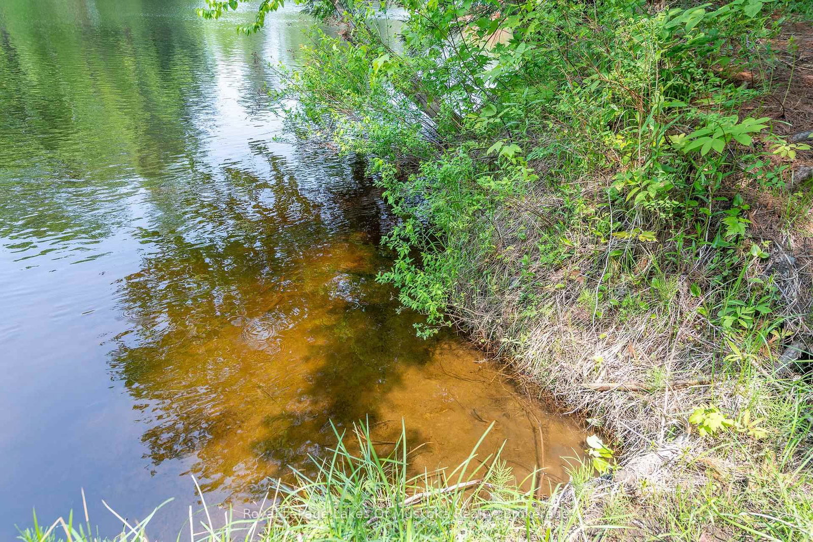 Listing Image 42