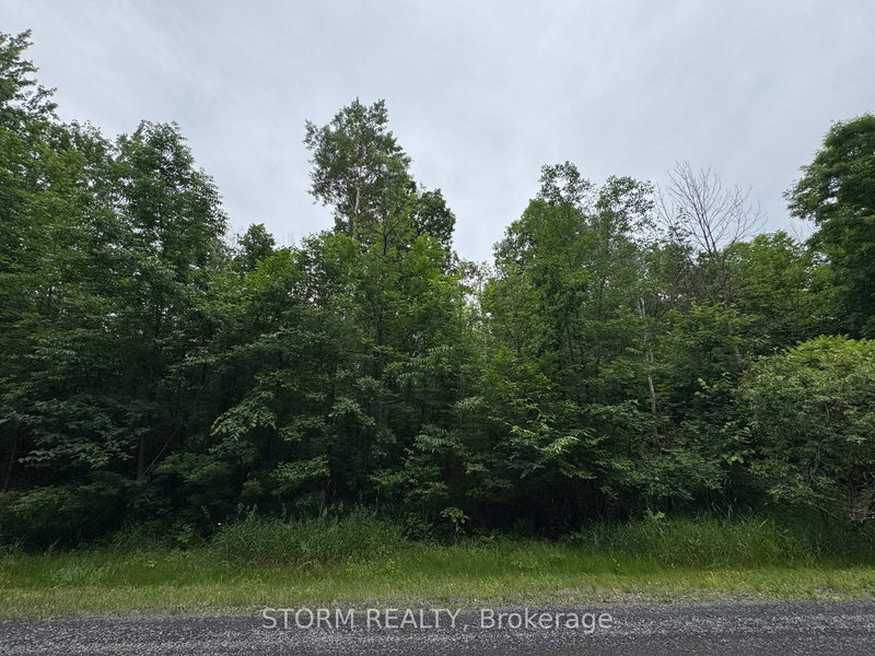 Con 8 Bingley Rd, South Stormont, K0C 1B0 | Image 2