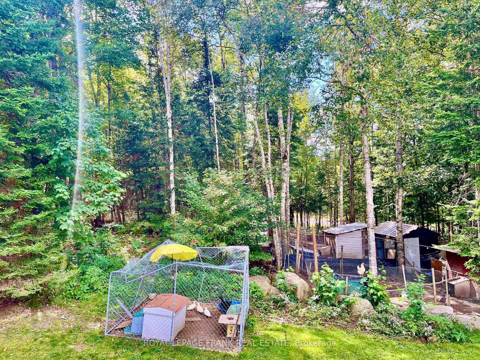 1630 Musclow Greenview Road • Bancroft, ON photo 22