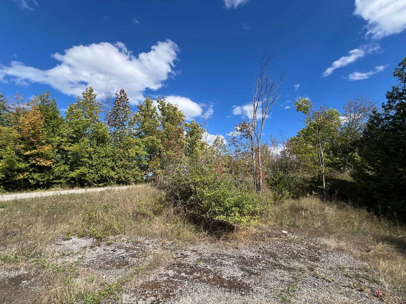 0 Tower Rd, Madoc, K0K 1Y0 | Image 3