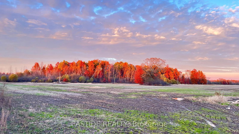 12880 Ort Rd, Niagara Falls, L0S 1K0 | Image 2