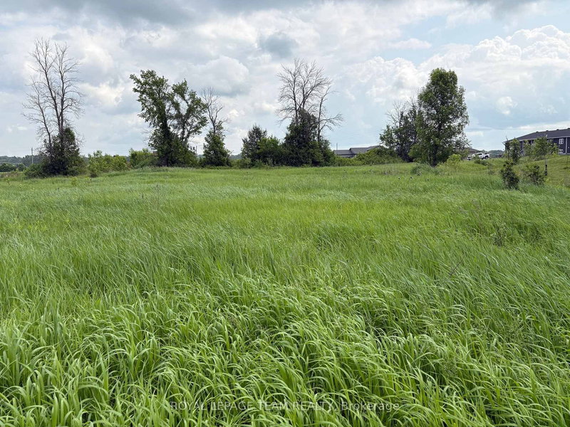 161 Old Pakenham Rd, Fitzroy Harbour, K0A 1X0 | Image 3