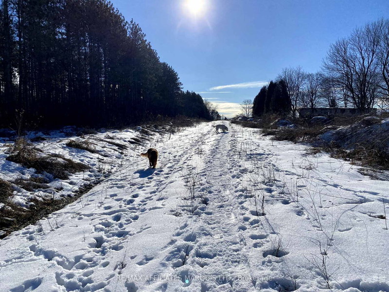 LOT Sapphire Dr N, South Glengarry, K6H 7J1 | Image 3