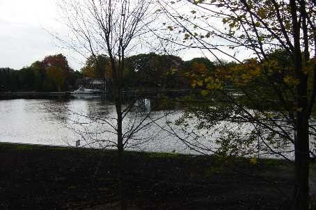 41 Paradise Blvd, Ramara, L0K1B0 | Image 3