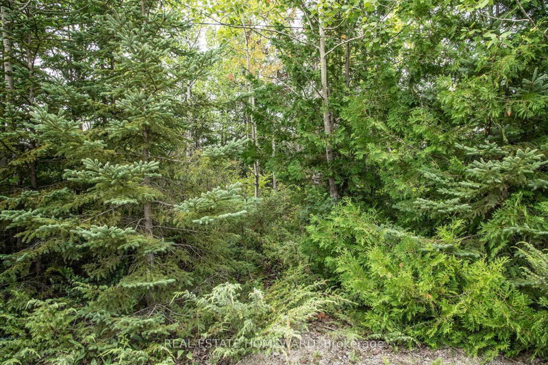 254-256 McGuire Beach Rd, Kawartha Lakes, K0M 2B0 | Image 3