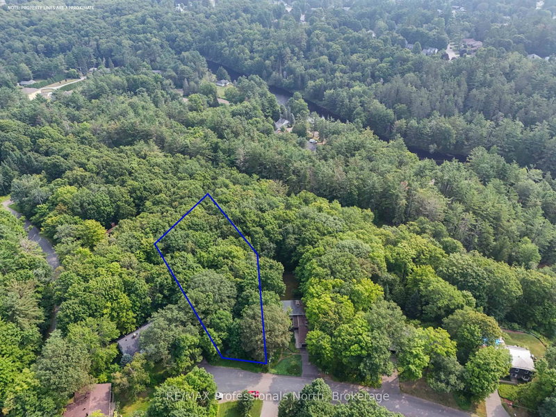 0 Woodland Dr, Bracebridge, P1L 1M2 | Image 2