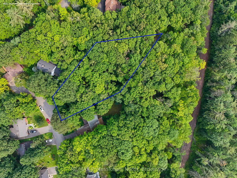 0 Woodland Dr, Bracebridge, P1L 1M2 | Image 3