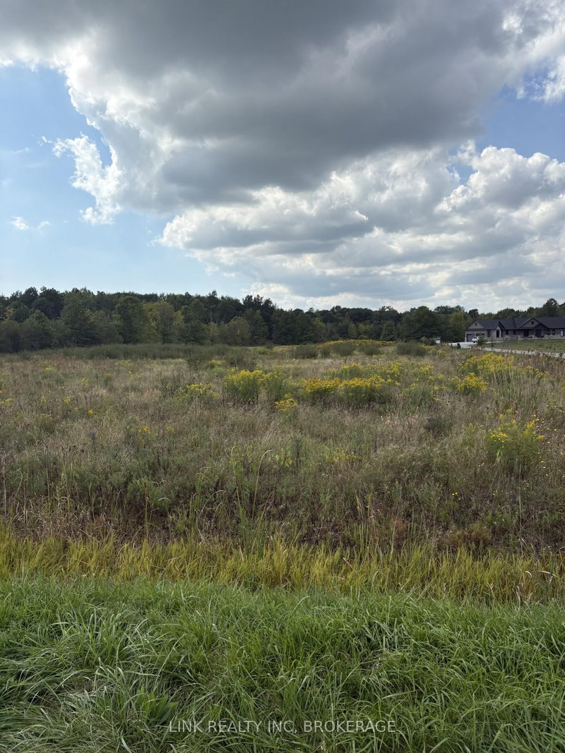 N/A Green Rd S, Wainfleet, L0S 1V0 | Image 2