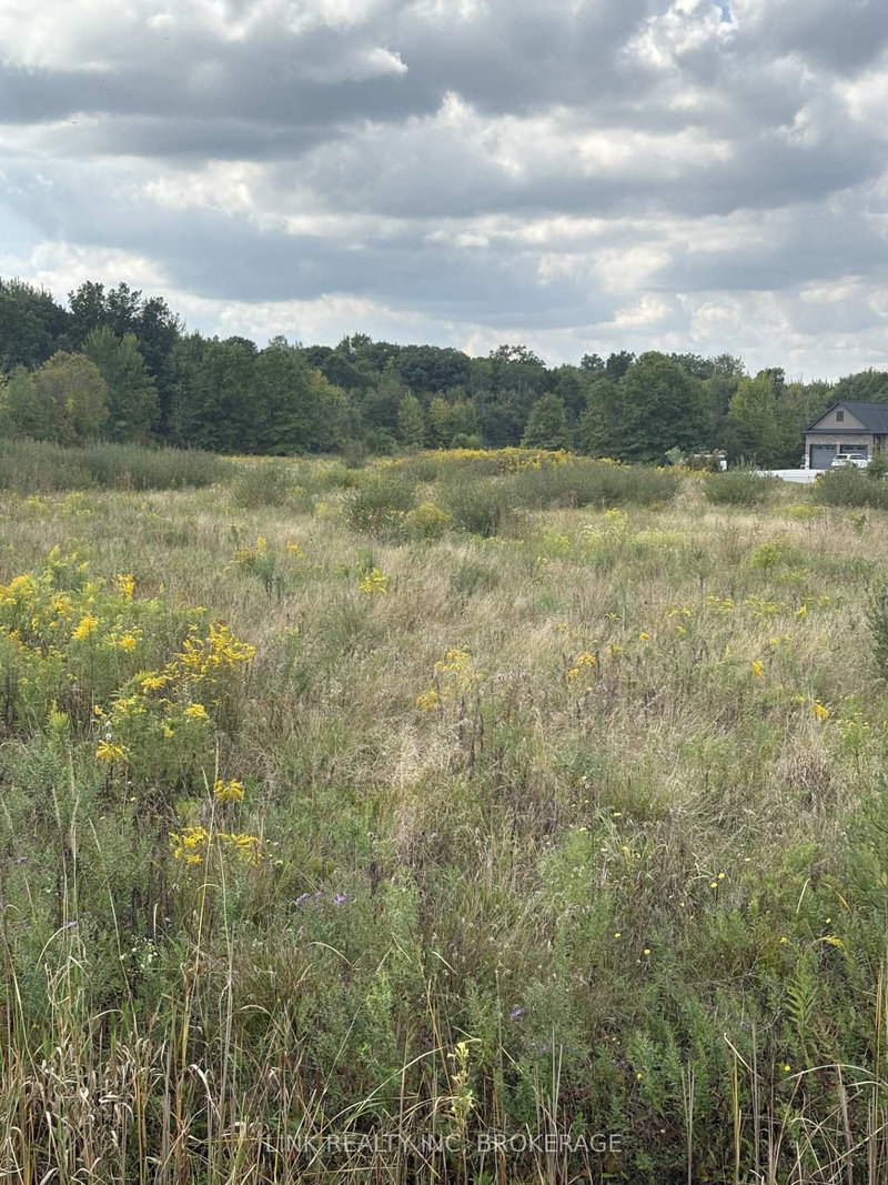 N/A Green Rd S, Wainfleet, L0S 1V0 | Image 3