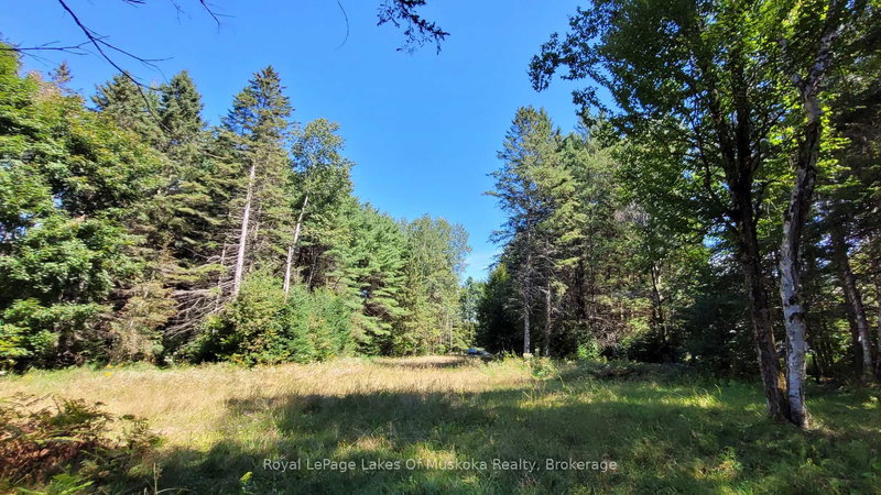 1059 Ablett Crt, Algonquin Highlands, K0M 1J0 | Image 2