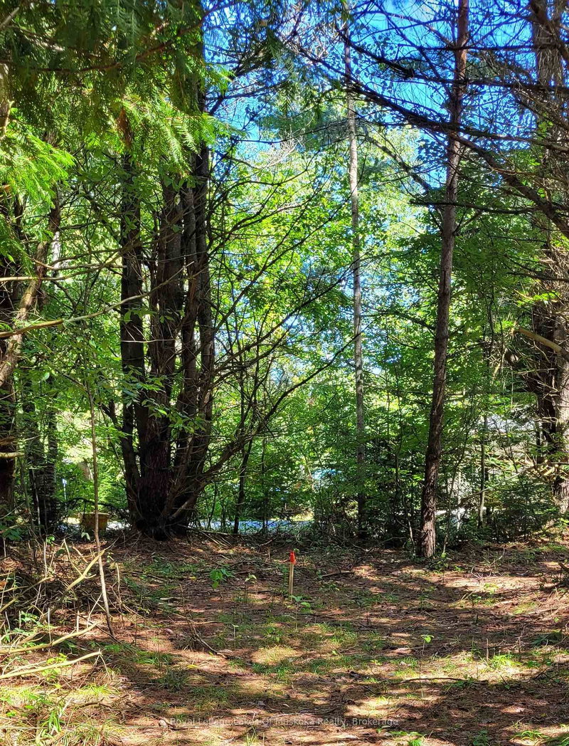 1059 Ablett Crt, Algonquin Highlands, K0M 1J0 | Image 3