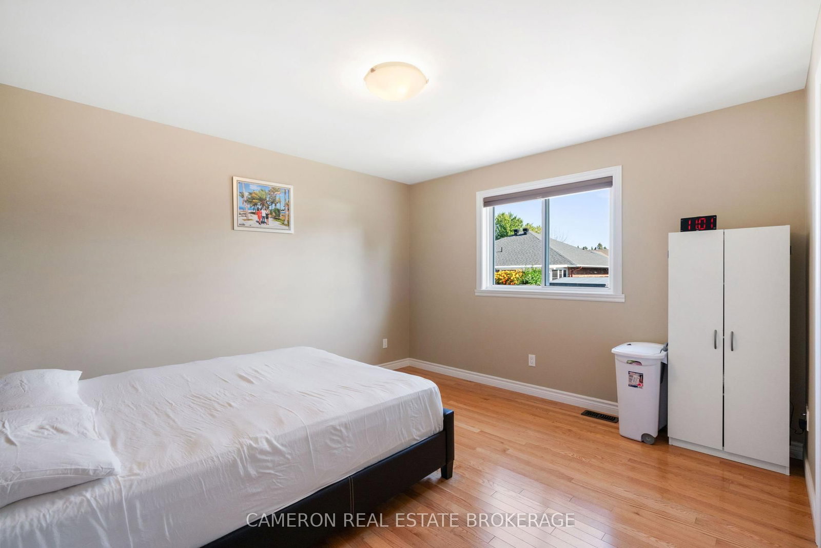 Listing Image 19