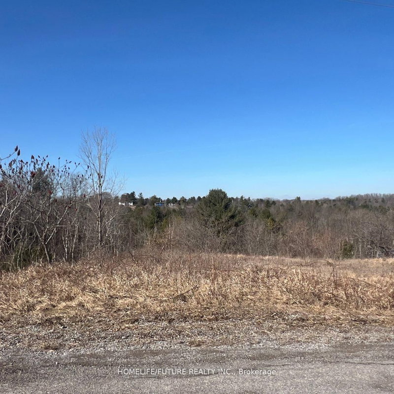 00 SUMMER Lane, Trent Hills, K0K 3K0 | Image 2