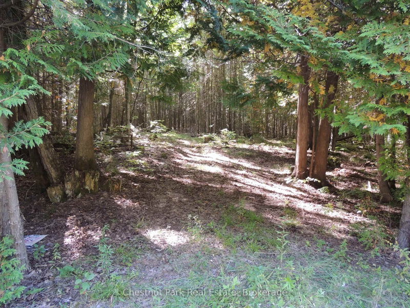 596244 Concession 10