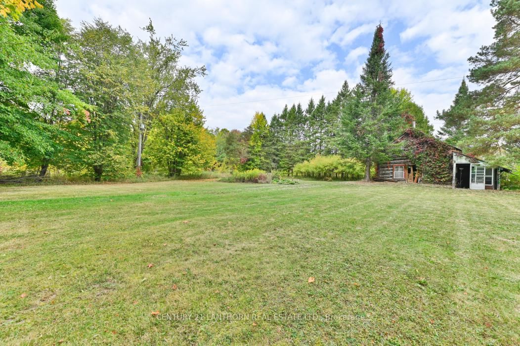 Listing Image 7
