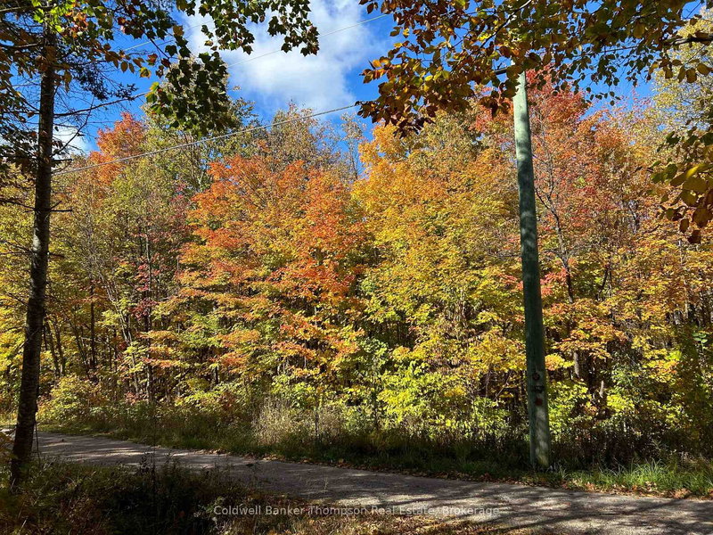 833 Hamilton Lake Rd, Machar, P0A 1X0 | Image 2