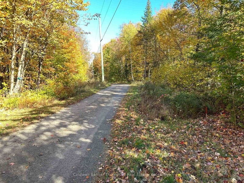 833 Hamilton Lake Rd, Machar, P0A 1X0 | Image 3