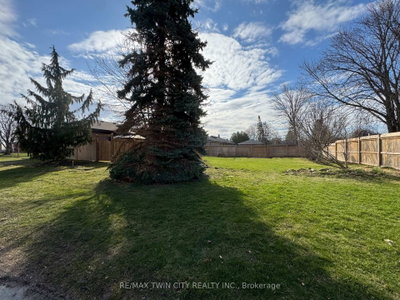 72 Evelyn Street — photo 5