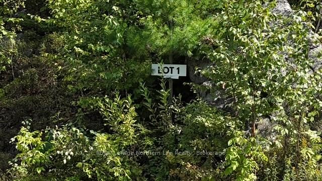LOT 1 Fox Run Rd, Temagami, P0H 2H0 | Image 2