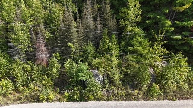 LOT 1 Fox Run Road