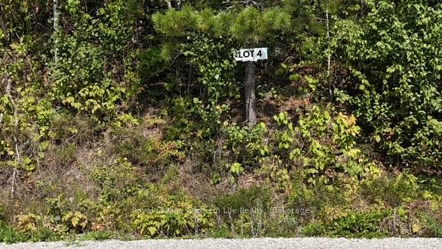 LOT 4 Fox Run Drive