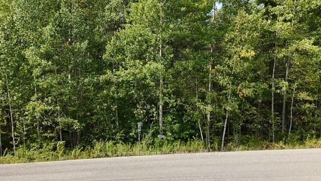 LOT 8 Fox Run Dr, Temagami, P0H 2H0 | Image 3