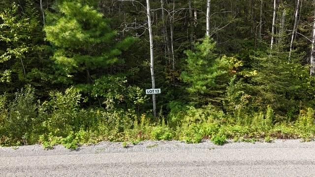 LOT 12 Fox Run Drive