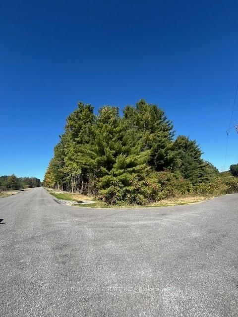 Pt 33A & Pt 33B Autumn Rd N, Trent Hills, K0K 3K0 | Image 2