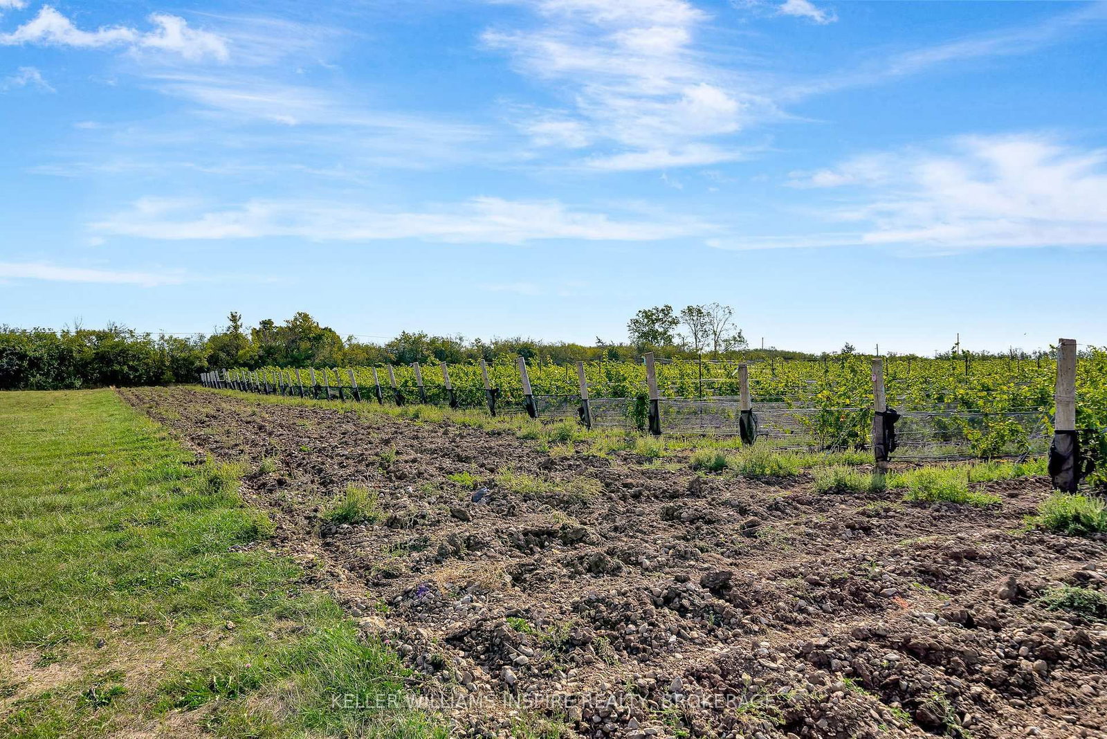 18055 Loyalist Parkway • Prince Edward County, ON photo 22
