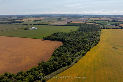 201340 Dufferin Road 109 Road — photo 5