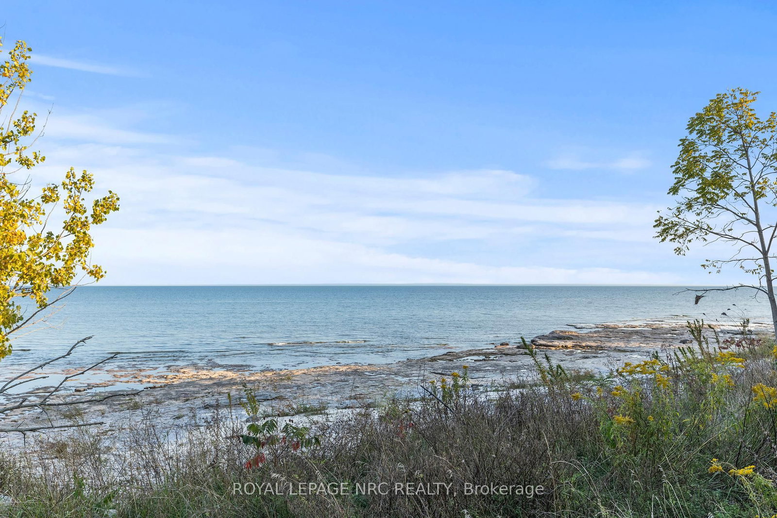 Listing Image 45