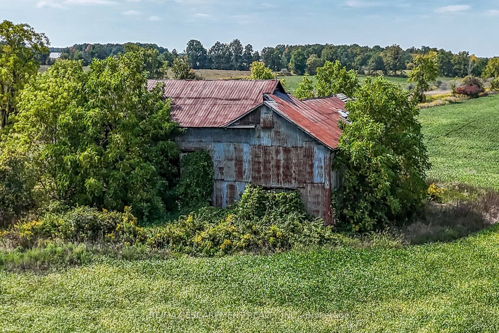 Listing Image 45