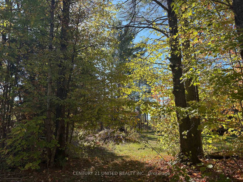 N/A Twin Sister Lakes Rd, Limoges, K0K 2M0 | Image 2