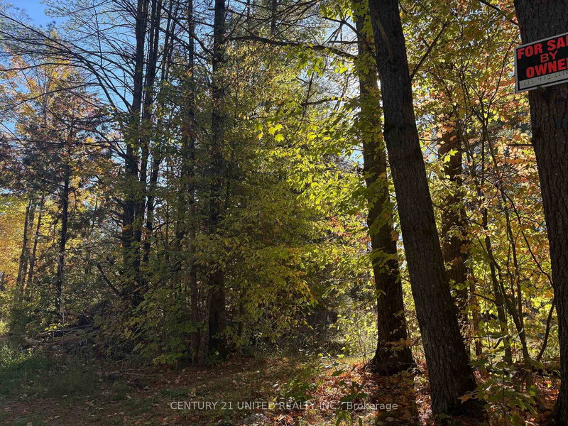 N/A Twin Sister Lakes Rd, Limoges, K0K 2M0 | Image 3