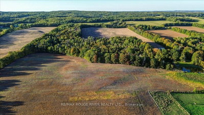 190 McBride Road — photo 4