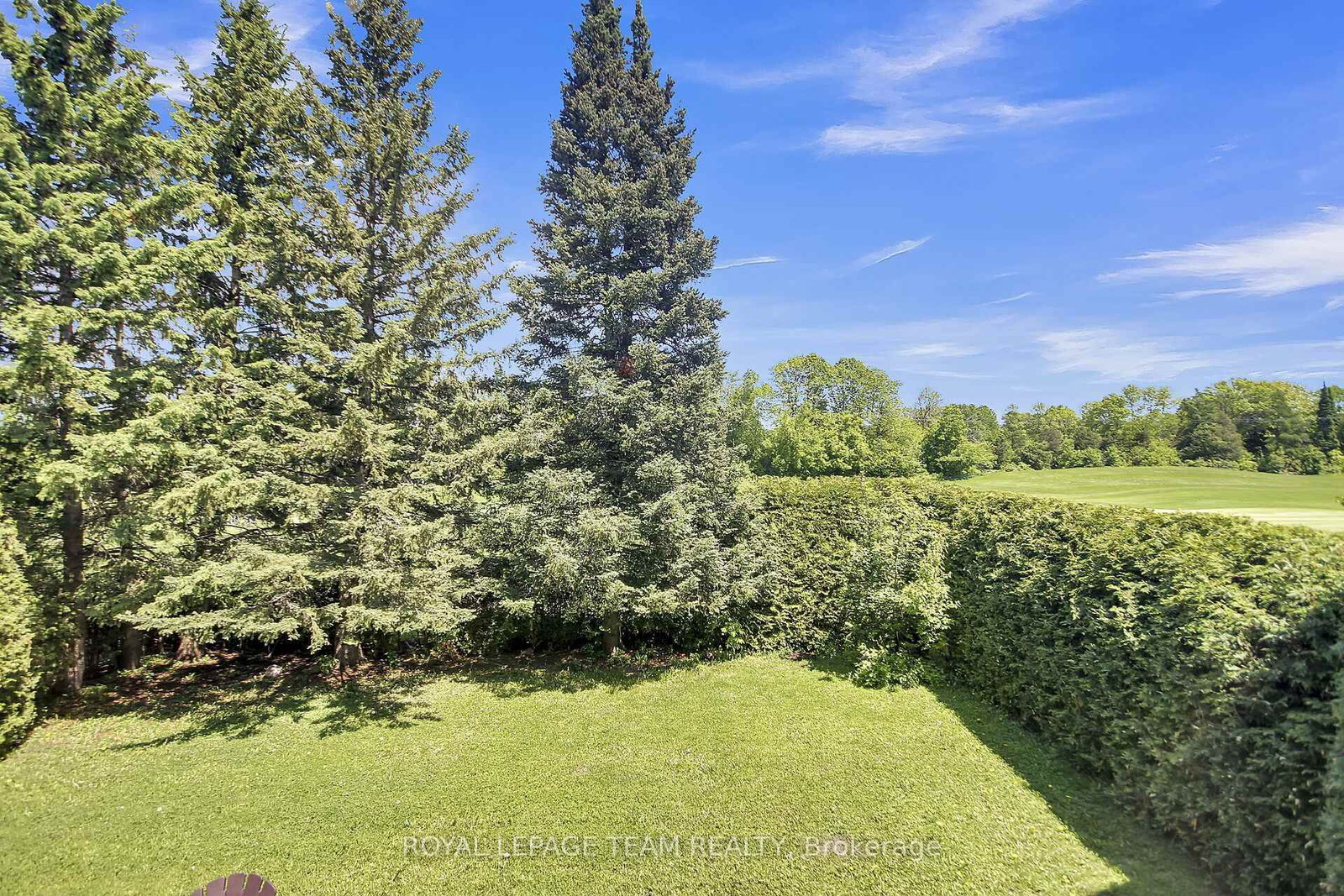 Listing Image 49