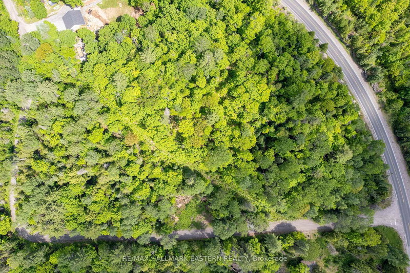 00 Johnson Rd, North Kawartha, K0L 1A0 | Image 3