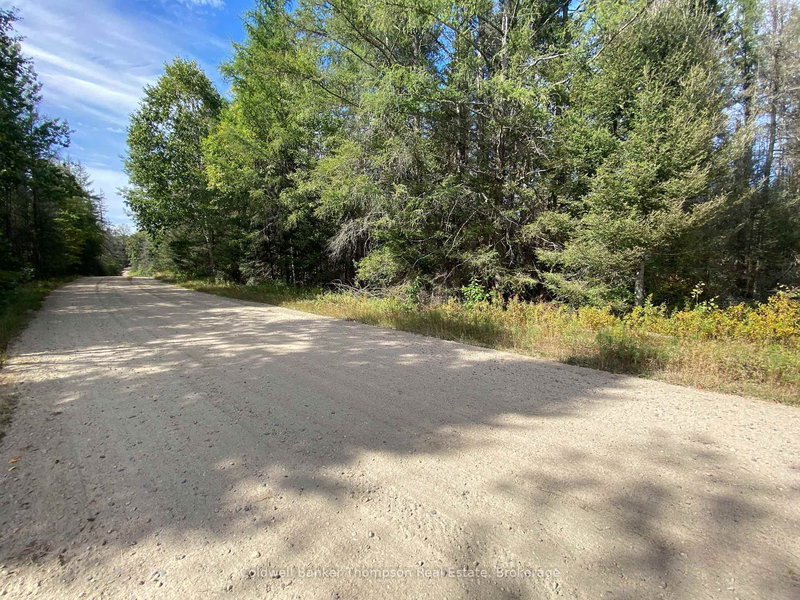 0 Municipal Rd N, Machar, P0A 1X0 | Image 3