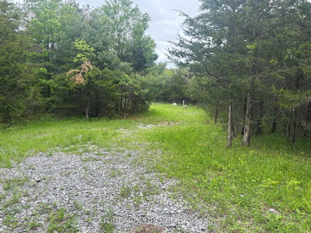 262 Johnston Road