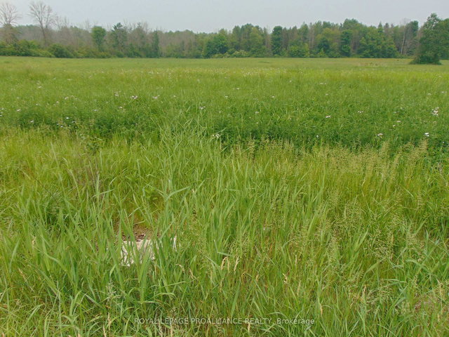 00 Charleville Road N