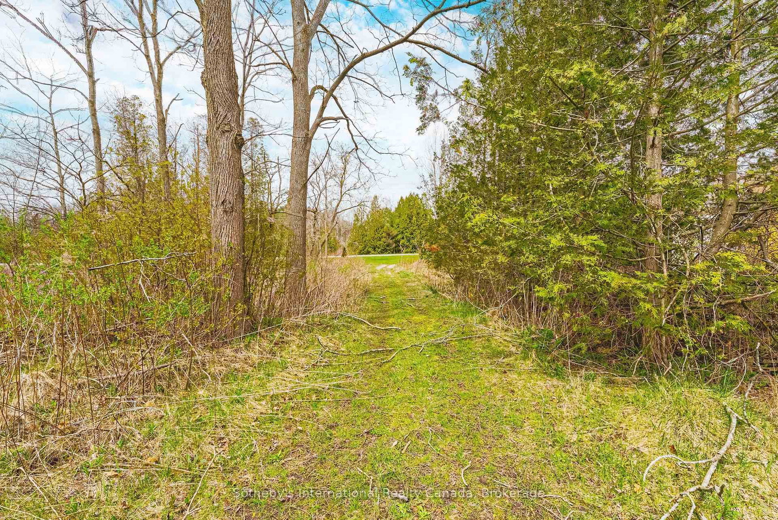 Detached House for sale at 1680 Old Brock Street, Norfolk, Ontario, N0E 1W0 - Vittoria - MLS: X12440998