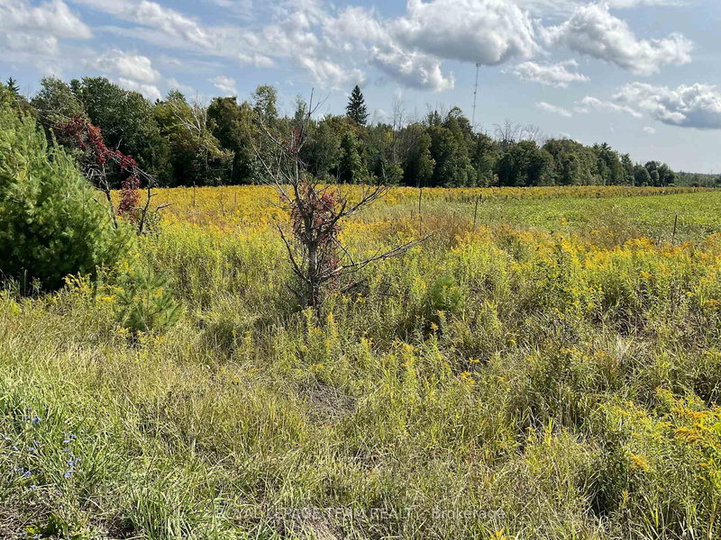 home for sale on 1211 BELLAMY Road