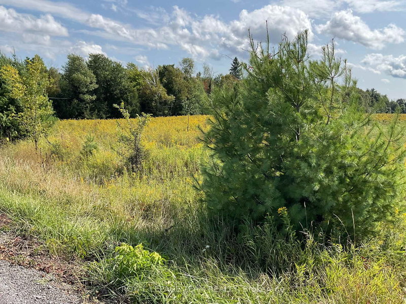 1211 BELLAMY Rd, Pakenham, K0A 2X0 | Image 2