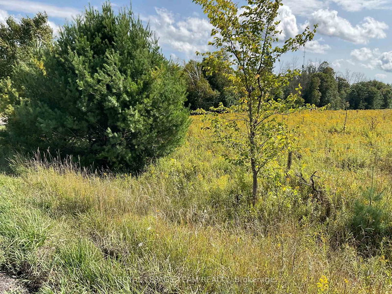 1211 BELLAMY Rd, Pakenham, K0A 2X0 | Image 3