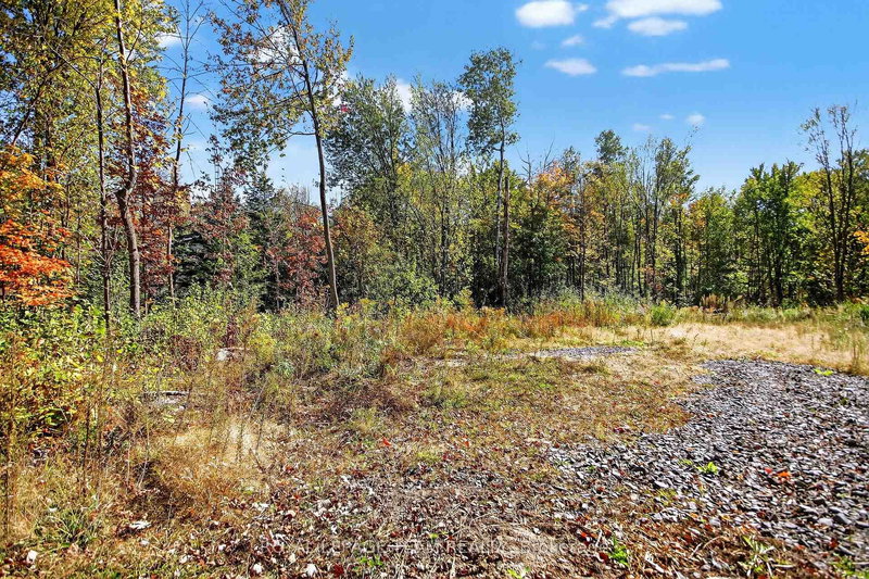 10586 Seibert Rd, South Dundas, K0E 1K0 | Image 3