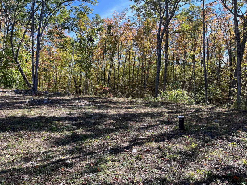 8 Hickson Rd, Douro-Dummer, K0L 2C0 | Image 3