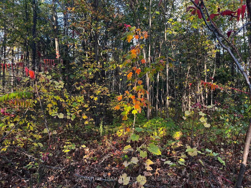 lot 0 Bellamy Road