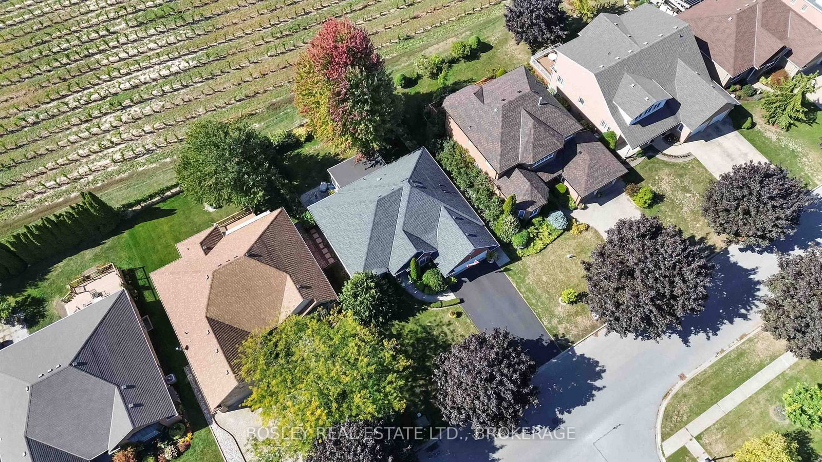 Listing Image 45